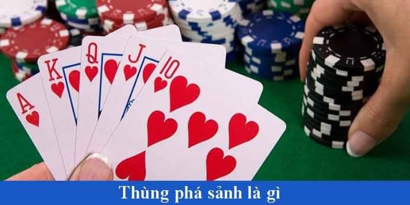 Tìm hiểu chi tiết về thuật ngữ thùng phá sảnh là gì?